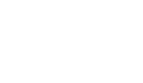 SVサポート